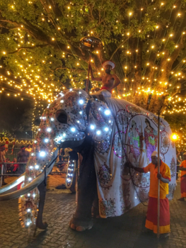 Kandy - Peraherafestival Kandy