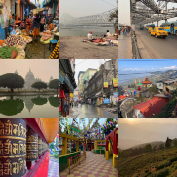 India - Veelzijdig India