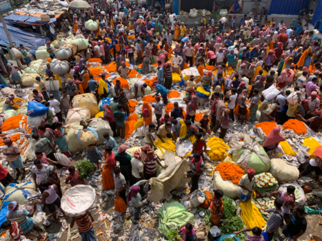 Calcutta (Kolkata) - Heel veel van alles.......