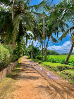 Sri Lanka - Jungle route