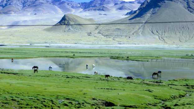 Rondreis door China en Tibet - Mountains Tibet