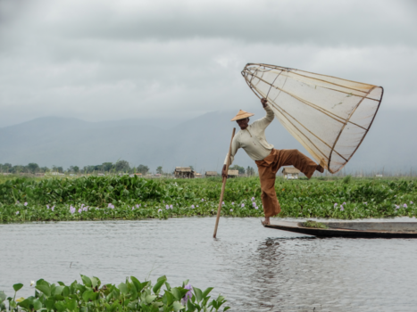 Myanmar - Visser op het Inle lake
