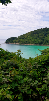 Thailand - 50 shades of green