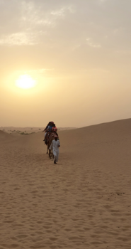 Dubai - De reizigerskaravaan