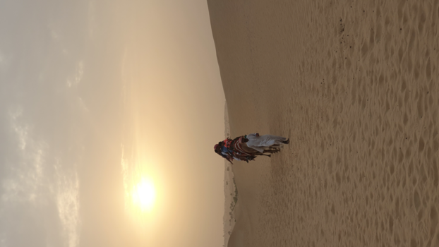 Dubai - Woestijn uur rijden uit Dubai