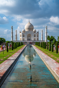 Taj Mahal - Good dog