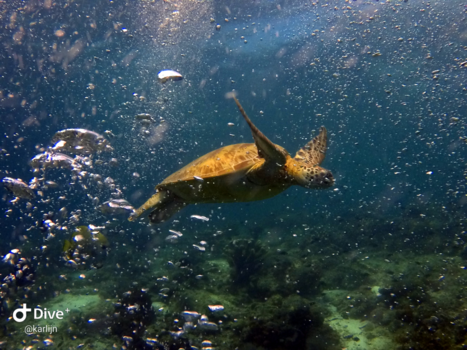 Rondreis door Maleisisch Borneo