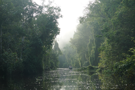 Rondreis door Maleisisch Borneo
