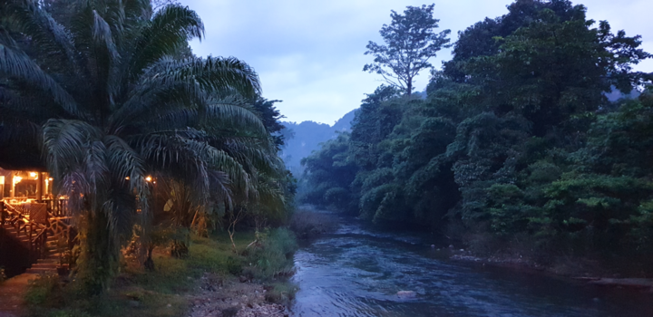 Khao Sok National Park - Het oerbos
