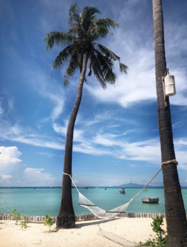 Koh Phi Phi - Mother nature