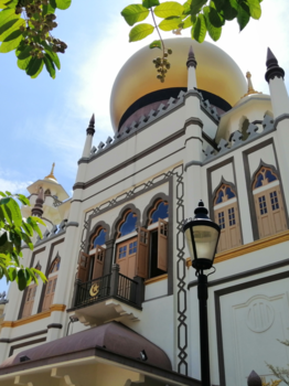 Singapore - A lot of different cultures come together in one country (Arab street)