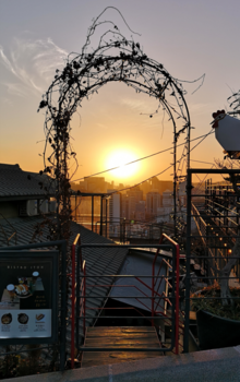 Seoul - A cozy little secret spot, typical Seoul