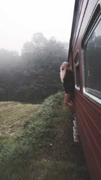 Sri Lanka - Gave treinreis