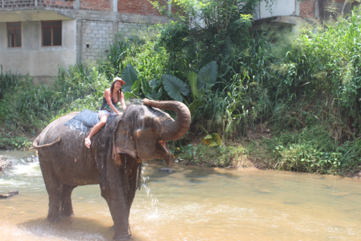 Sri Lanka - pure blijdschap ! :)