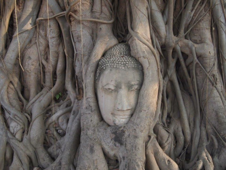 Rondreis Thailand in twee weken - boeddha hoofd