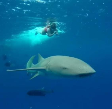 Malediven - Malediven Mafuushi♡ mooiste herinnering♡