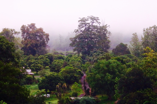 Thailand - Chiang Mai