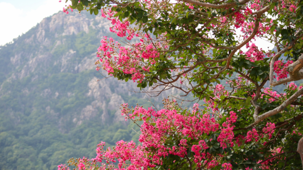 Zuid-Korea - Bergketens in Zuid-Korea