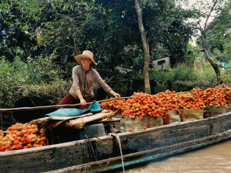 Vietnam - Fruit boot in de Mekong delta