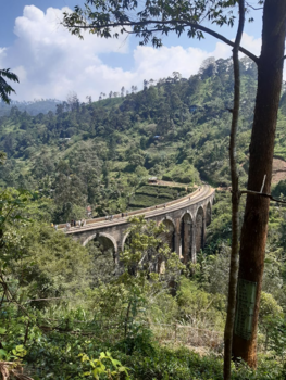 Ella - Nine Arch Bridge