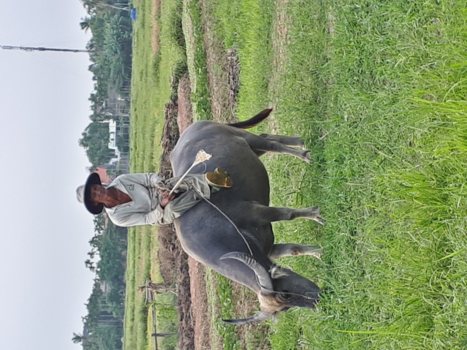 Vietnam - Vietnam compleet reis