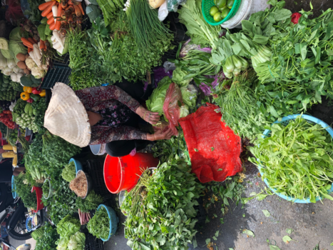 Rondreis Vietnam in vier weken - Saigon laatste dag na n geweldige rondreis van 4 weken