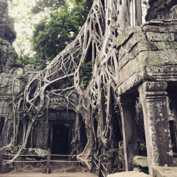 Cambodja - Angkor wat