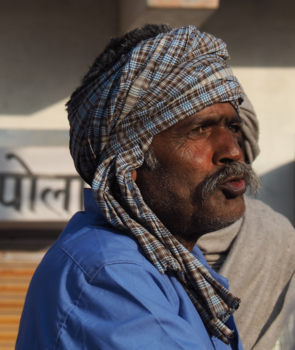 India - Kameeldrijver