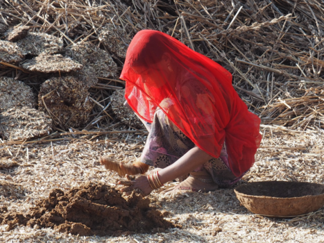 India - brandstof maken van mest