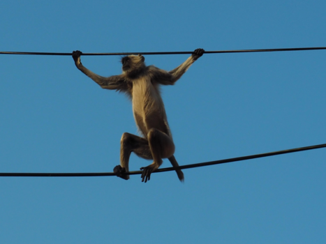 India - Even oversteken