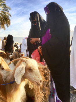Oman - Geitenmarkt van Nizwa