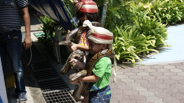 Sentosa Island - Snake on kids