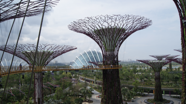 Sentosa Island - The " trees...