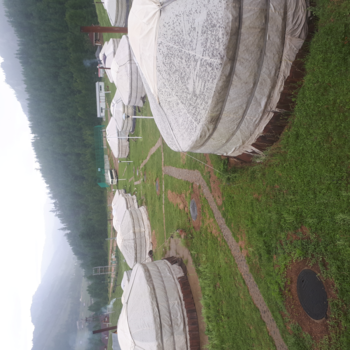 Mongolië - welke Ger nemen we?