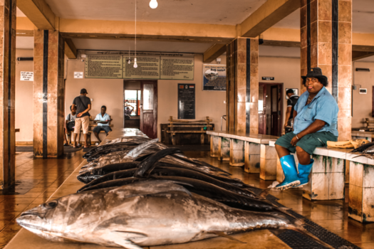 Sri Lanka - Photobomb 2.0 😝