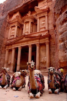 Petra - The Treasury