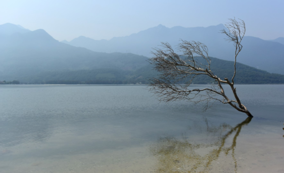 Vietnam - Boom in meer