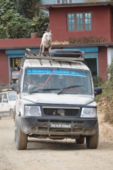 Nepal - Surfin' surfin'