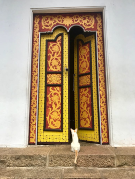 Sri Lanka - waiting......