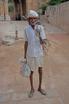 India - Houtsprokkelman