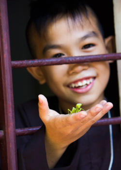 Vietnam - "Vrijheid"