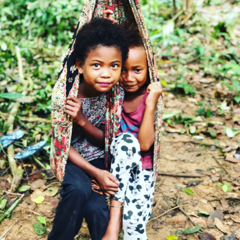 Maleisië - Taman Negara