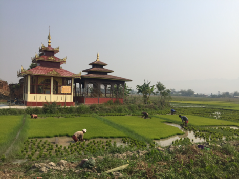 Myanmar - Authenticiteit zover je oog reikt