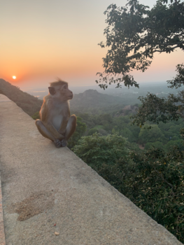Sri Lanka - Sri lanka