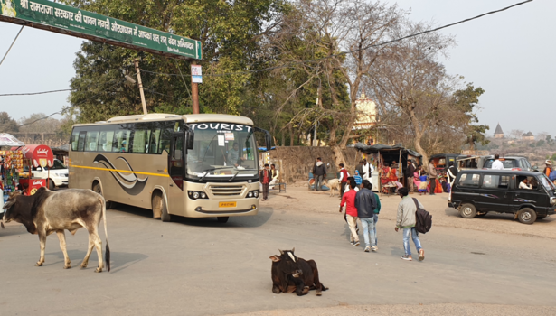 India - Verkeer in India!