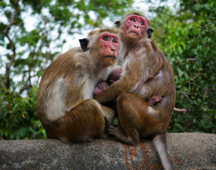 Sri Lanka - Love the future!