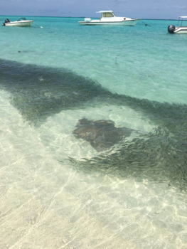 Malediven - Malediven