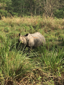 Malediven - Nepal (Chitwan)