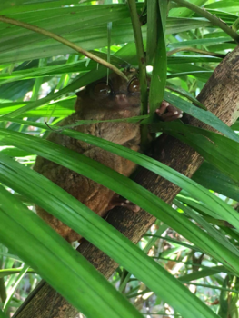 Malediven - Philippines