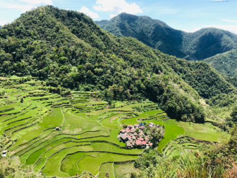 Malediven - Philippines Batad rijstvelden